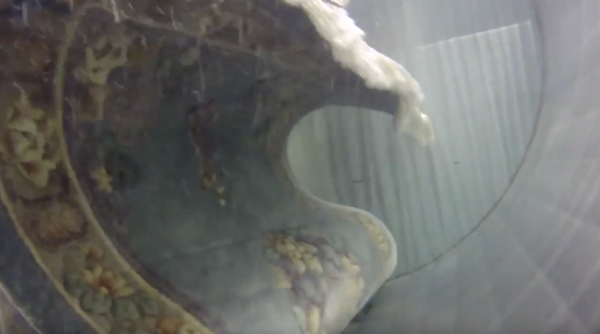 Centrum Star Wash Tub "Rug Swim"