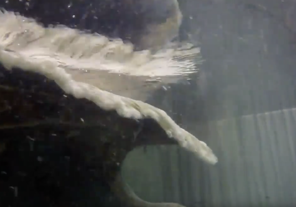 Centrum Star Wash Tub "Rug Swim"