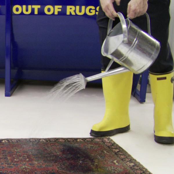 U-Turn Pet Urine Removal Works On Getting What You Need Out Of Rugs